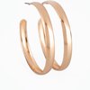 A Double feature - Gold Hoops